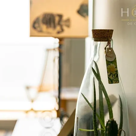 Quartier Des Presidents - Vue شقة لي سابلِ دولونْ