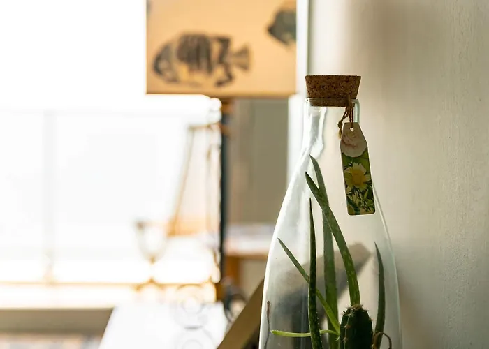 アパート Quartier Des Presidents - Vue *